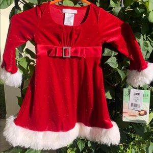 Toddler Christmas Dress NWT